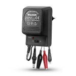Mastak MW-660 6V и 12V/0.5A